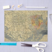 Azië 42 tissuepapier (Craft)