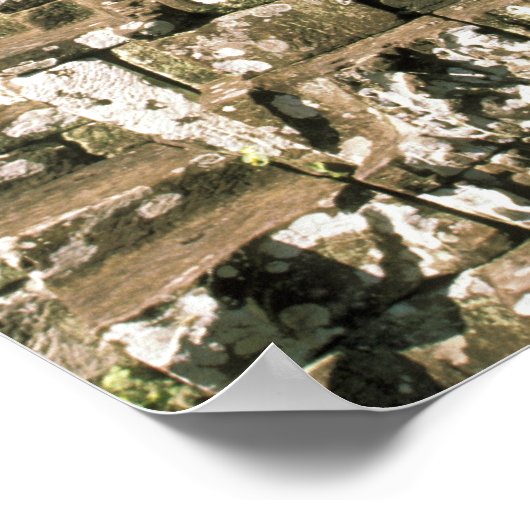 Azië, Cambodja, Siem Reap. Angkor Thom, hoofden va Poster (Hoek)