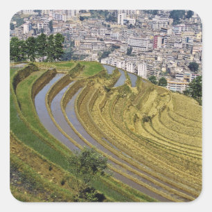 Azië, China, de provincie Yunnan, Jinping. Jinping Vierkante Sticker