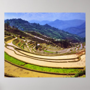 Azië, China, de provincie Yunnan, Yuanyang County Poster