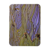 Azië, China, de provincie Yunnan, Yuanyang. Overst Magneet (Verticaal)