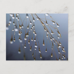 Azië, China   Huansan, Dewdrops Briefkaart