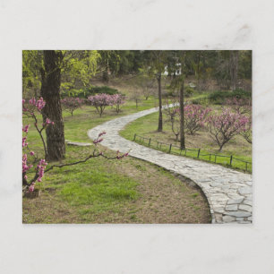 Azië, China, Peking. Lente bloeit langs Briefkaart