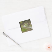 Azië, China, Peking. Lente bloesems Vierkante Sticker (Envelop)