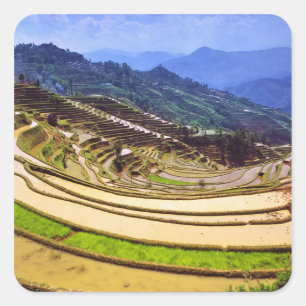 Azië, China, provincie Yunnan, Yuanyang County. Vierkante Sticker