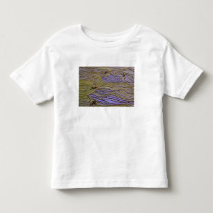 Azië, China, provincie Yunnan, Yuanyang. Overstroo Kinder Shirts