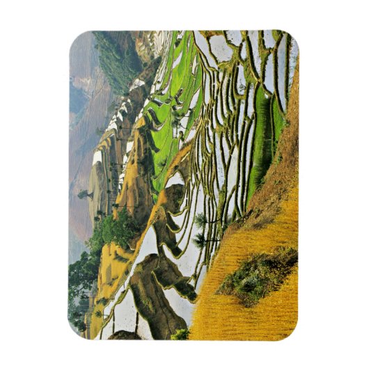 Azië, China, Yunnan, de prefectuur Yuxi; Yuanjiang Magneet (Verticaal)