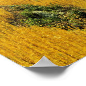 Azië, China, Yunnan, de prefectuur Yuxi; Yuanjiang Poster (Hoek)