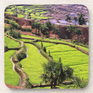 Azië, China, Yunnan, Honghe.  Rijstterrassen bij 2 Bier Onderzetter