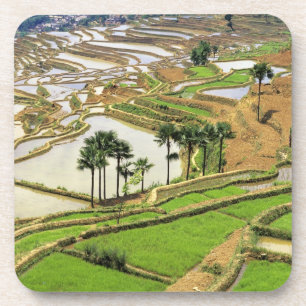 Azië, China, Yunnan, Honghe. Rijstterrassen nabij Onderzetter