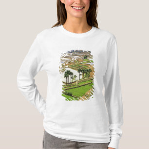 Azië, China, Yunnan, Honghe. Rijstterrassen nabij T-shirt