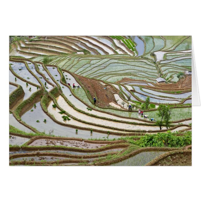 Azië, China, Yunnan, Jinping. Inheemse Yi mensen (Voorkant Horizontaal)