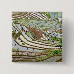 Azië, China, Yunnan, Jinping. Inheemse Yi mensen Vierkante Button 5,1 Cm