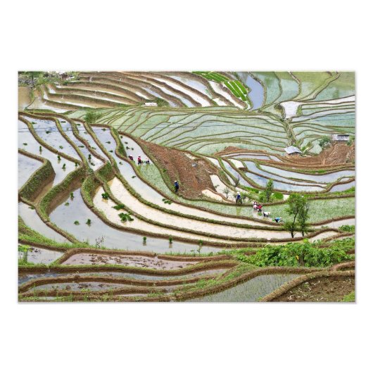 Azië, China, Yunnan, Jinping. Native Yi-volk Foto Afdruk (Voorkant)