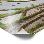 Azië, China, Yunnan, Jinping. Native Yi-volk Foto Afdruk (Hoek)