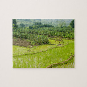 Azië, China, Yunnan provincie, Honghe. Banaan Legpuzzel