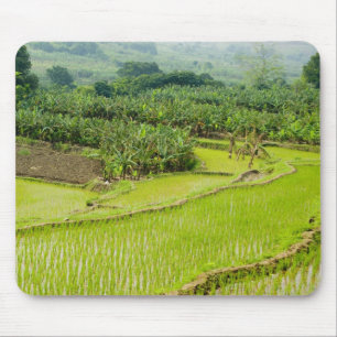 Azië, China, Yunnan provincie, Honghe. Banaan Muismat