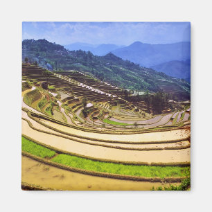 Azië, China, Yunnan provincie, Yuanyang County. Magneet