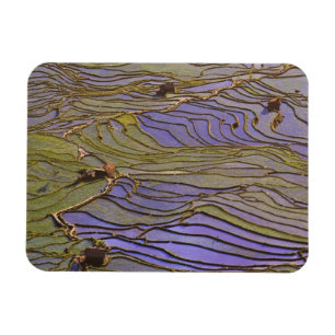 Azië, China, Yunnan Provincie, Yuanyang. Overstroo Magneet