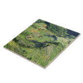 Azië, China, Yunnan, Yuanyang. Groen patroon Tegeltje (Zijkant)