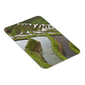 Azië, China, Yunnan, Yuanyang. Overstromde rijst Magneet (Rechterzijde)