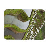 Azië, China, Yunnan, Yuanyang. Overstromde rijst Magneet (Horizontaal)