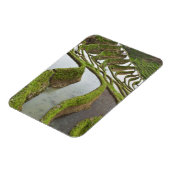 Azië, China, Yunnan, Yuanyang. Overstromde rijst Magneet (Linkerzijde)