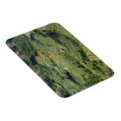 Azië, China, Yunnan, Yuanyang. Patroon van groen 2 Magneet (Rechterzijde)