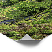 Azië, China, Yunnan, Yuanyang. Patroon van groen 2 Poster (Hoek)