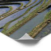 Azië, China, Yunnan, Yuanyang. robuust Poster (Hoek)