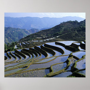 Azië, China, Yunnan, Yuanyang. Ruw Poster
