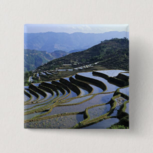 Azië, China, Yunnan, Yuanyang. Ruw Vierkante Button 5,1 Cm