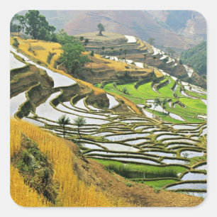 Azië, China, Yunnan, Yuxi Prefectuur; Yuanjiang. Vierkante Sticker