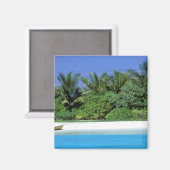 Azië, de Malediven. North Male Atoll Magneet (Voorkant / Achterkant)