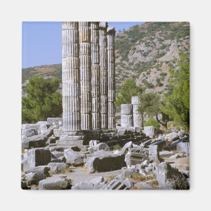 Azië, het Midden-Oosten, Turkije, Ephesus. Tempel  Magneet