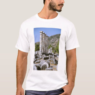 Azië, het Midden-Oosten, Turkije, Ephesus. Tempel  T-shirt