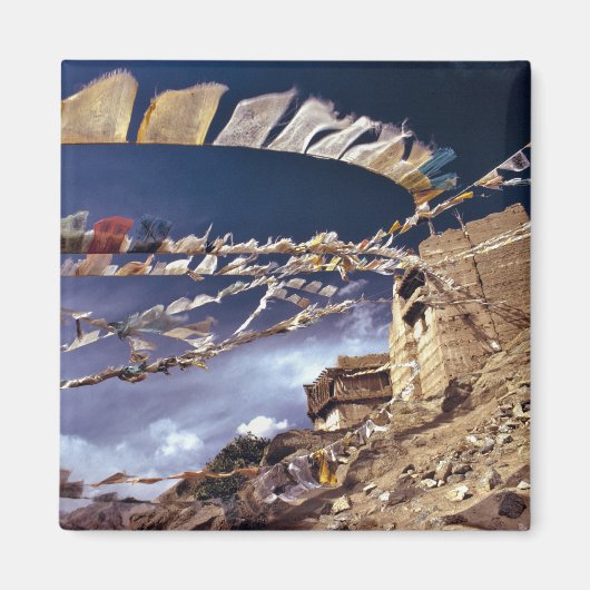 Azië, India, Ladakh, Leh. Bekend als Little Magneet (Voorkant)