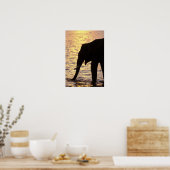 Azië, India, Nargahole National Park. Indiaas Poster (Keuken)