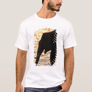 Azië, India, Nargahole National Park. Indisch T-shirt