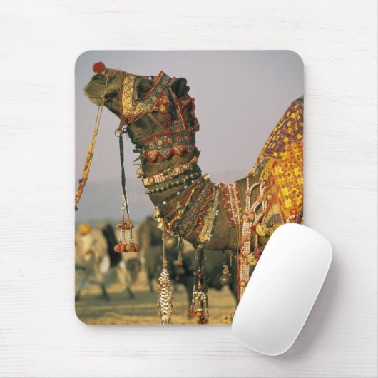 Azië, India, Pushkar. Camel Shamu , Pushkar Muismat (Met muis)