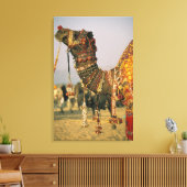 Azië, India, Pushkar. Kameel Shamu , Pushkar Canvas Afdruk (Insitu (Woonkamer))