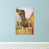 Azië, India, Pushkar. Kameel Shamu , Pushkar Canvas Afdruk (Insitu (Houten vloer))