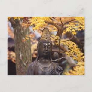 Azië, Japan, Boeddha Briefkaart