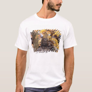 Azië, Japan, Boeddha T-shirt