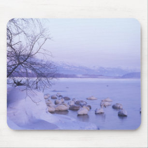 Azië, Japan, Hokkaido, Akan NP, Whopper Zwannen Muismat