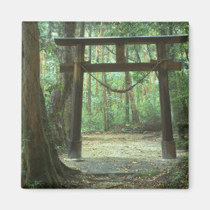 Azië, Japan, Kagoshima, Yakushima, Berg Magneet