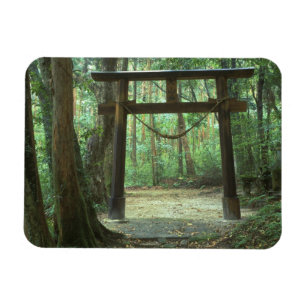 Azië, Japan, Kagoshima, Yakushima, Berg Magneet