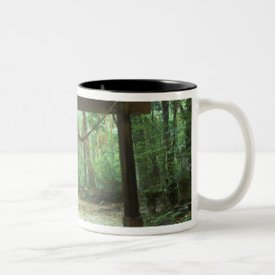 Azië, Japan, Kagoshima, Yakushima, Berg Tweekleurige Koffiemok