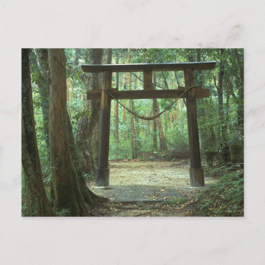 Azië, Japan, Kagoshima, Yakushima, Mountain Briefkaart (Voorkant)