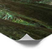 Azië, Japan, Kagoshima, Yakushima, Mountain Poster (Hoek)